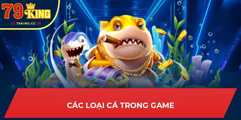 Giới thiệu các loại cá trong bắn cá ngũ long 79king