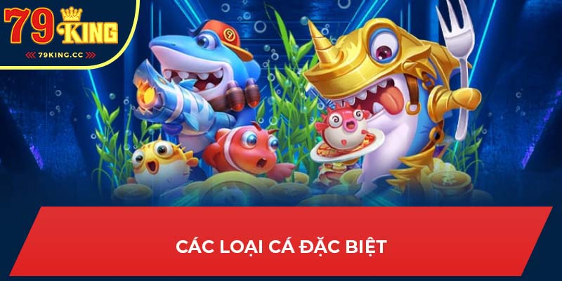 Các loại cá đặc biệt